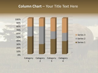 Horn Simum Pachyderm PowerPoint Template