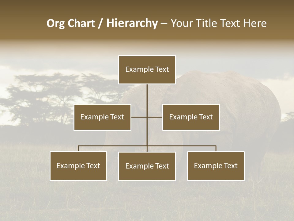 Horn Simum Pachyderm PowerPoint Template