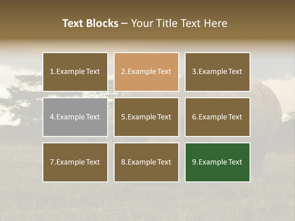 Horn Simum Pachyderm PowerPoint Template