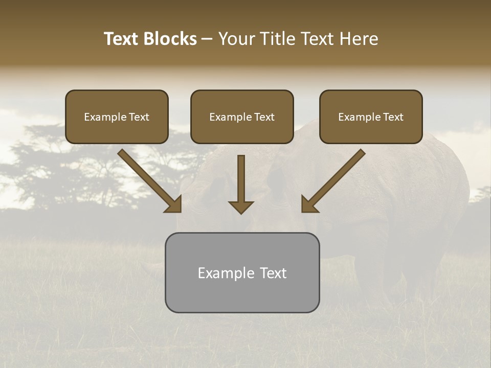 Horn Simum Pachyderm PowerPoint Template