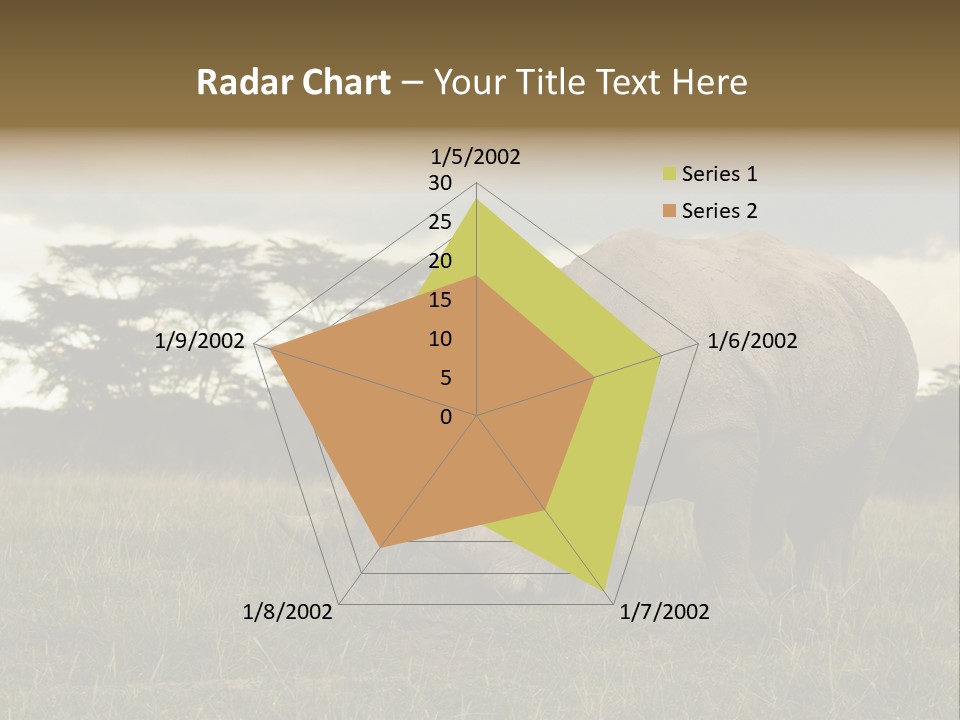 Horn Simum Pachyderm PowerPoint Template