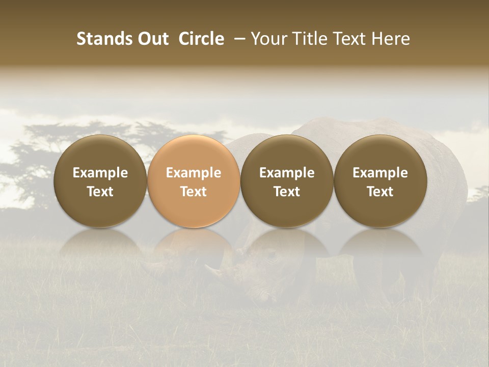 Horn Simum Pachyderm PowerPoint Template