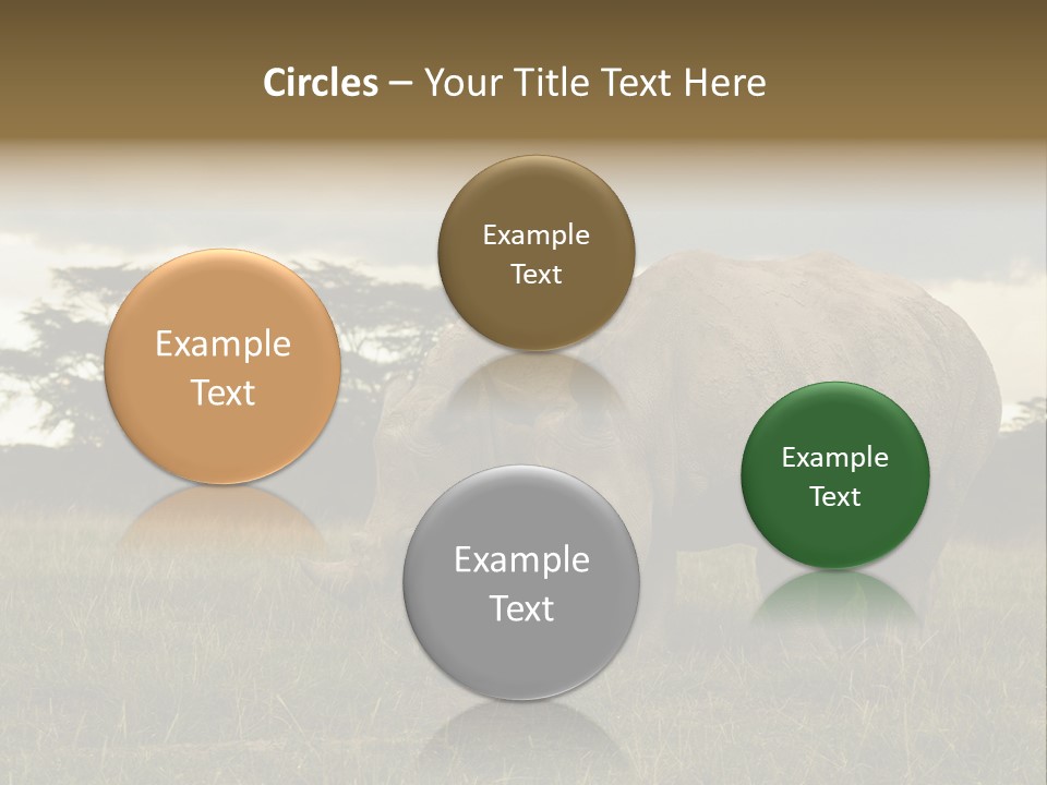 Horn Simum Pachyderm PowerPoint Template