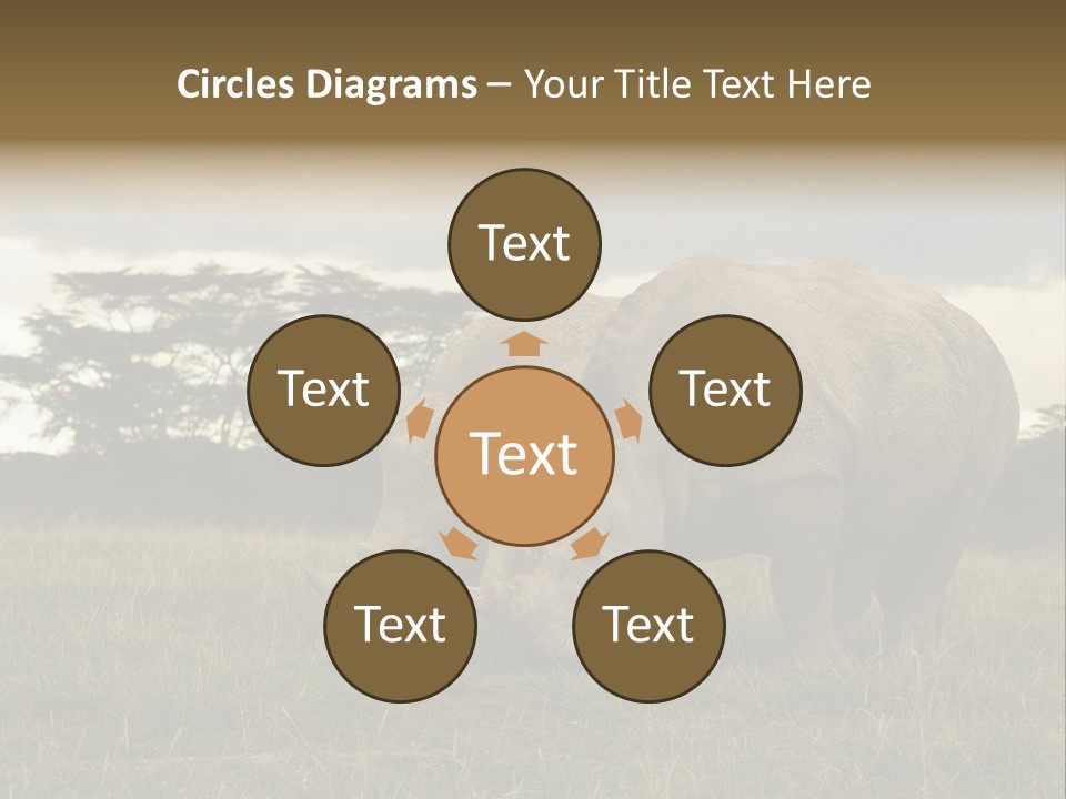 Horn Simum Pachyderm PowerPoint Template