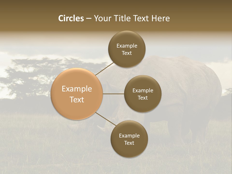 Horn Simum Pachyderm PowerPoint Template