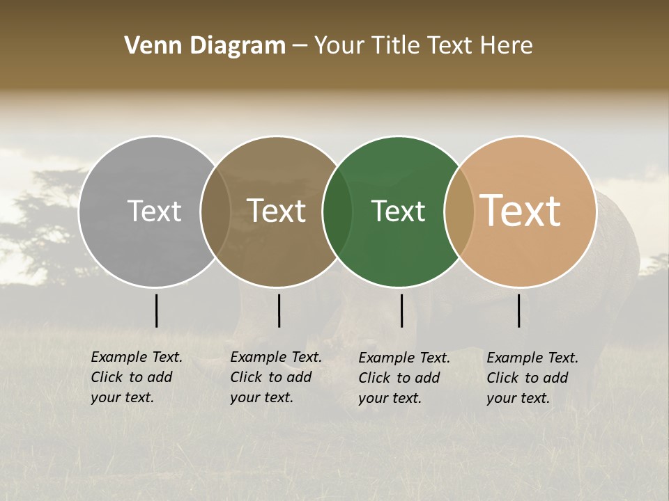 Horn Simum Pachyderm PowerPoint Template