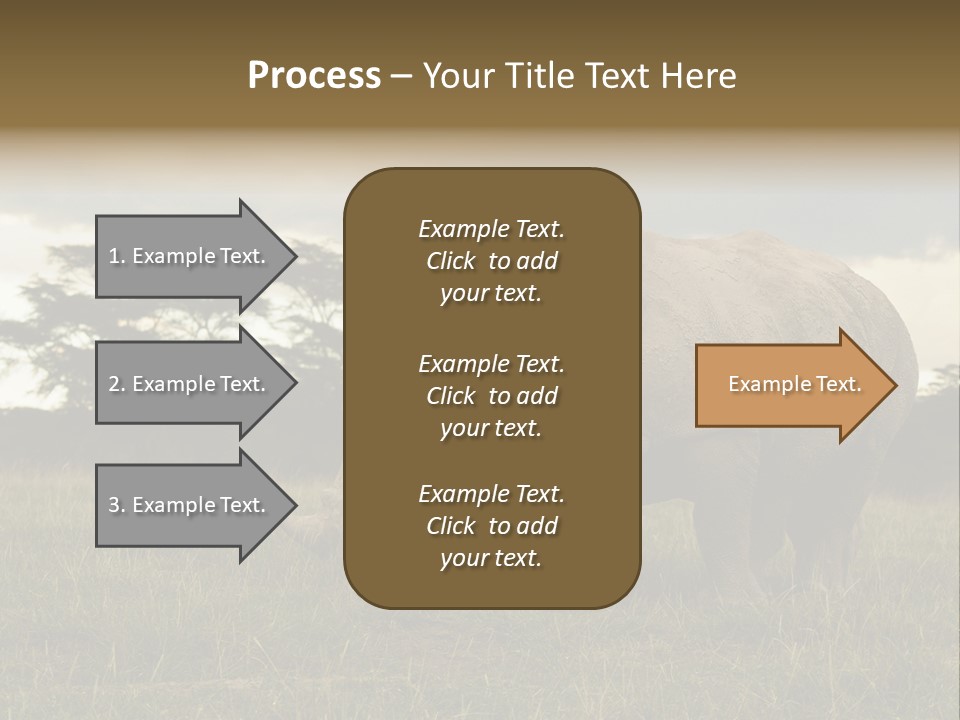 Horn Simum Pachyderm PowerPoint Template