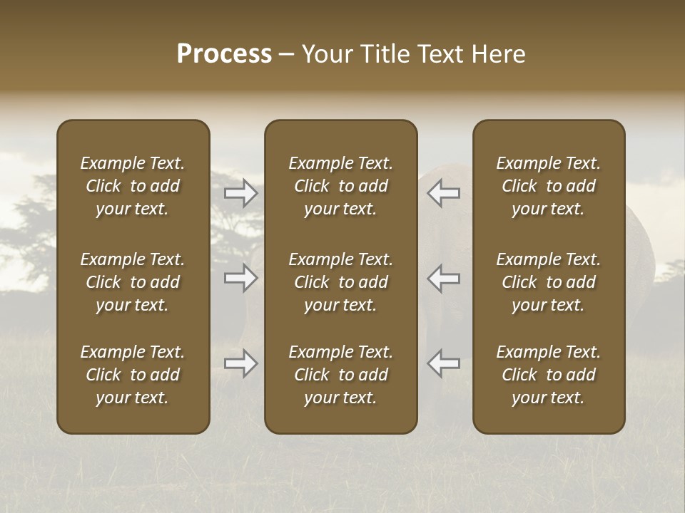 Horn Simum Pachyderm PowerPoint Template
