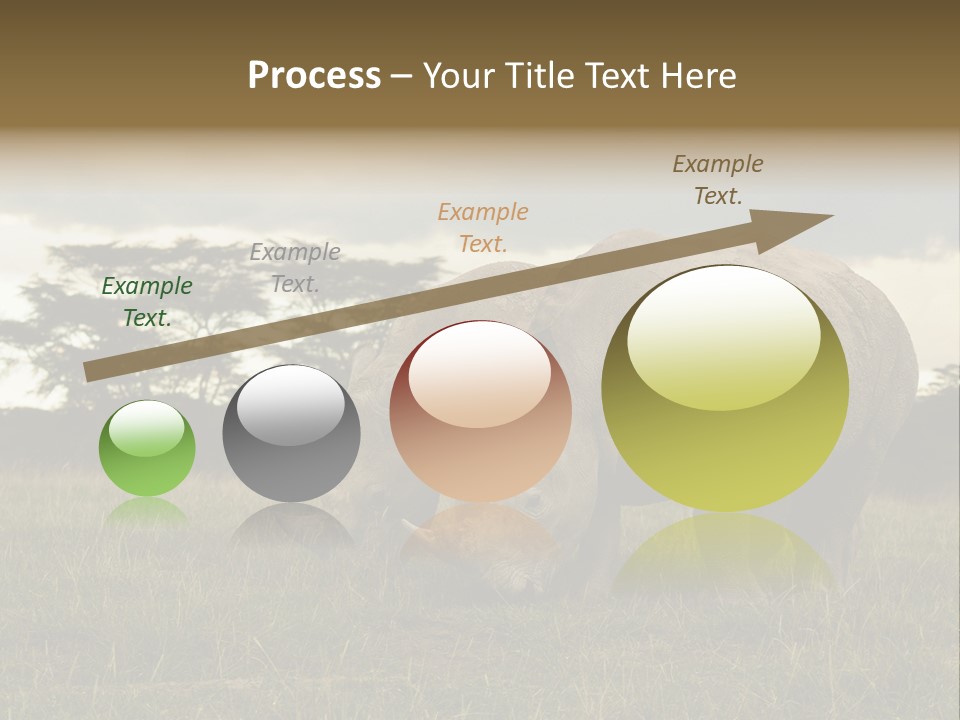 Horn Simum Pachyderm PowerPoint Template