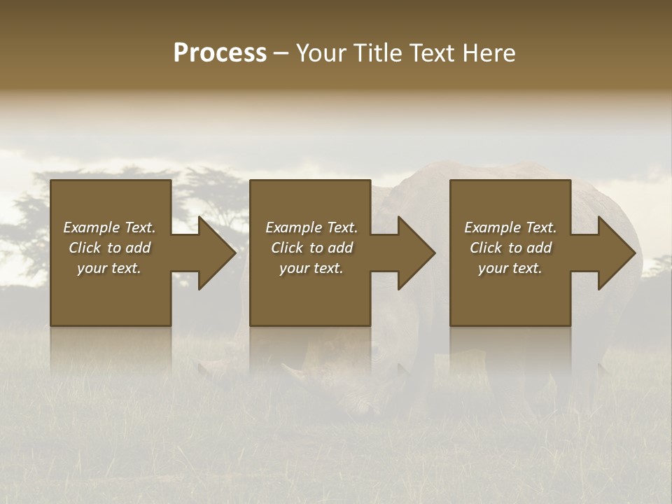 Horn Simum Pachyderm PowerPoint Template