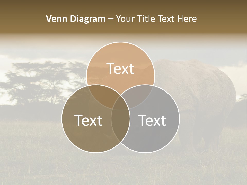 Horn Simum Pachyderm PowerPoint Template