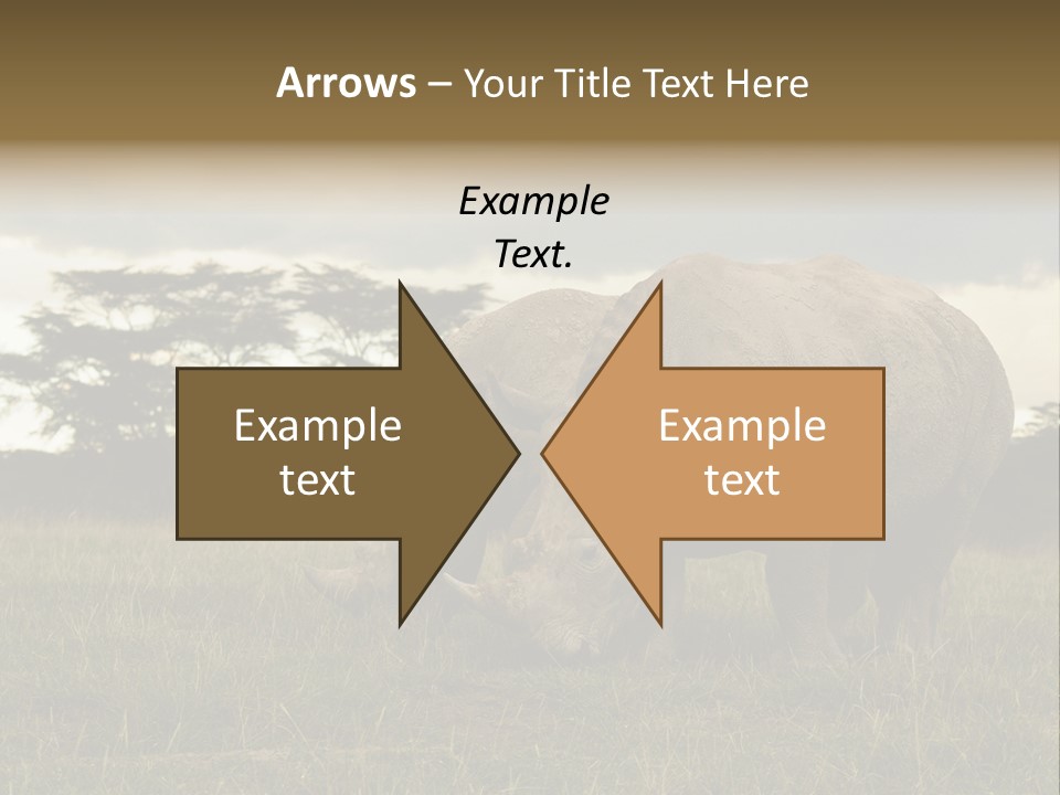 Horn Simum Pachyderm PowerPoint Template