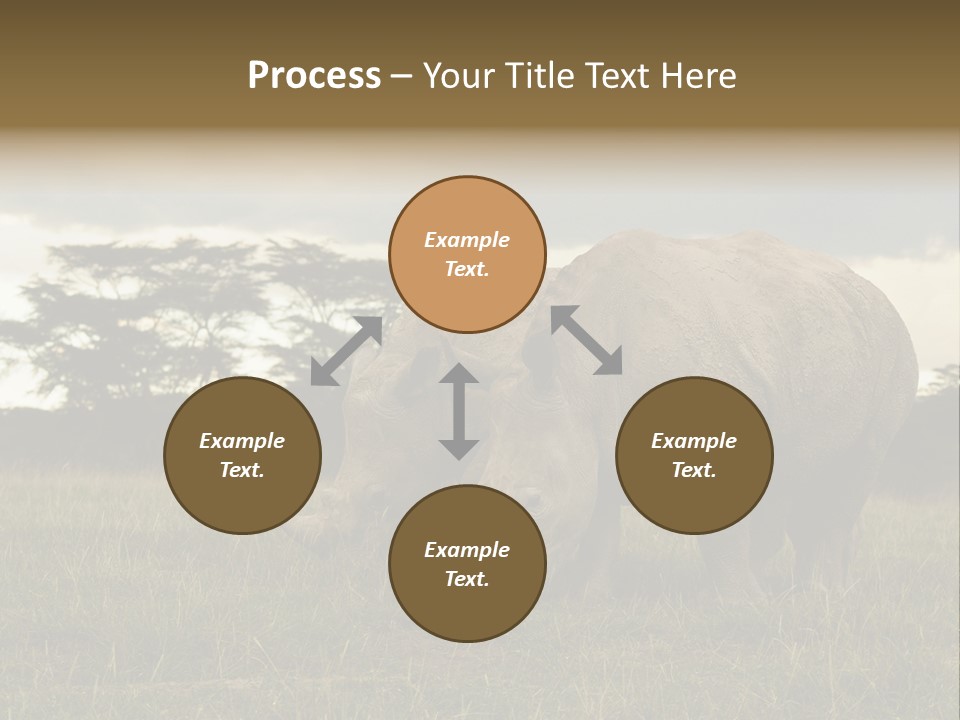 Horn Simum Pachyderm PowerPoint Template