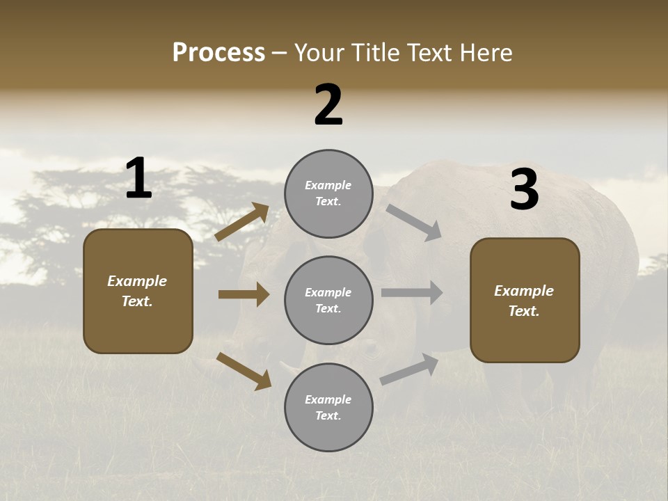 Horn Simum Pachyderm PowerPoint Template