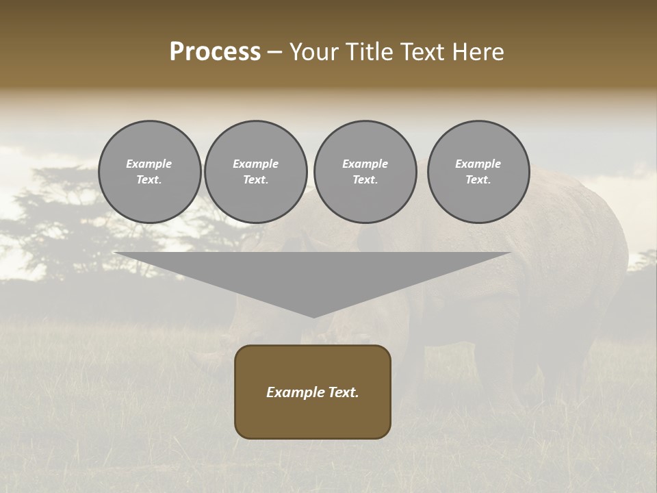 Horn Simum Pachyderm PowerPoint Template