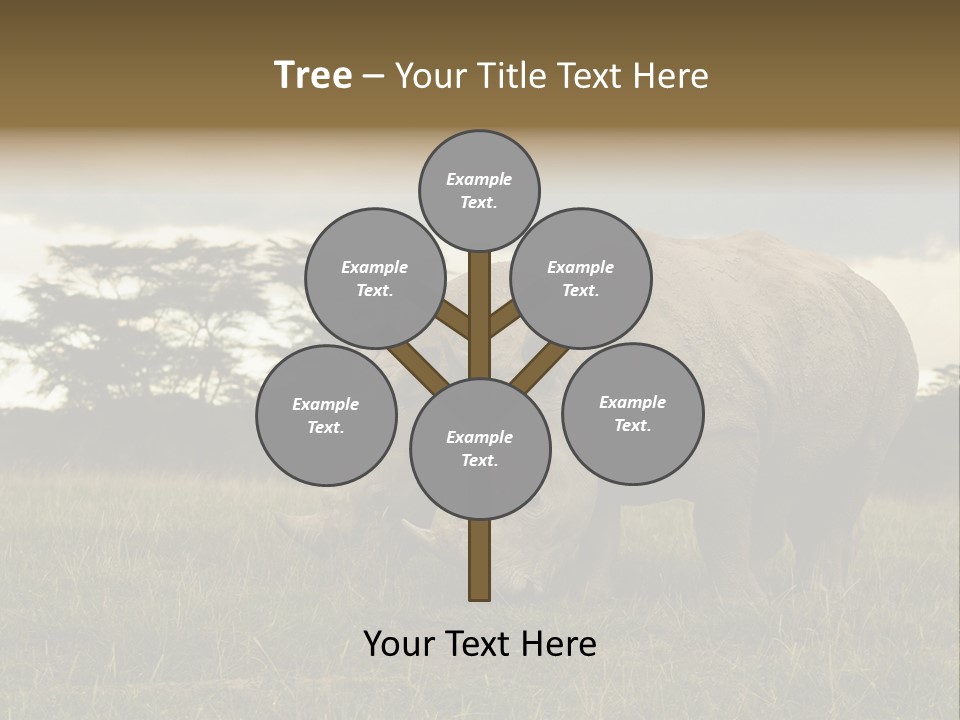 Horn Simum Pachyderm PowerPoint Template