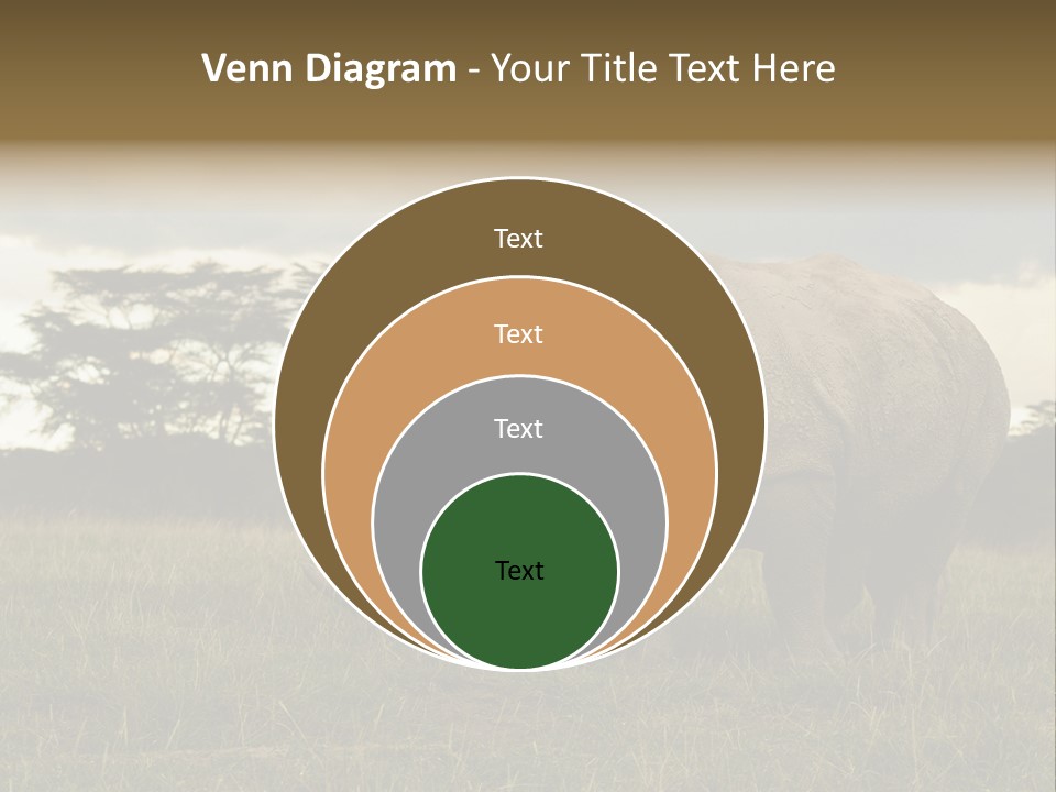 Horn Simum Pachyderm PowerPoint Template