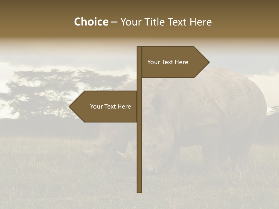 Horn Simum Pachyderm PowerPoint Template