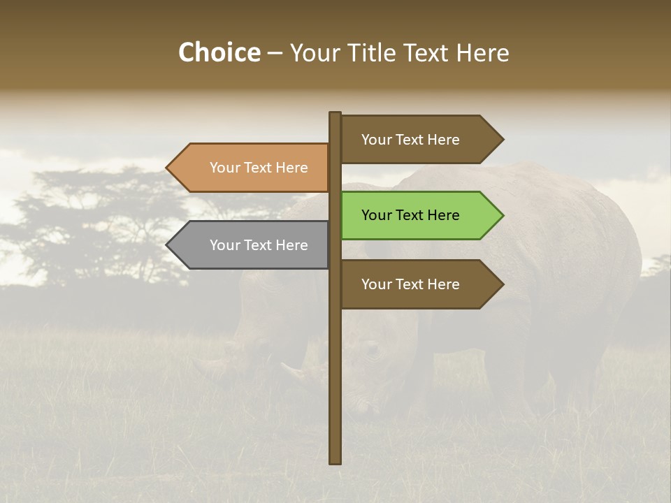Horn Simum Pachyderm PowerPoint Template
