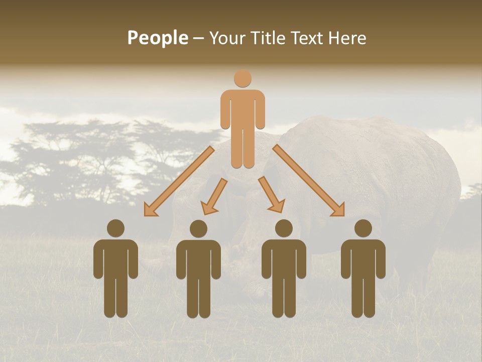 Horn Simum Pachyderm PowerPoint Template