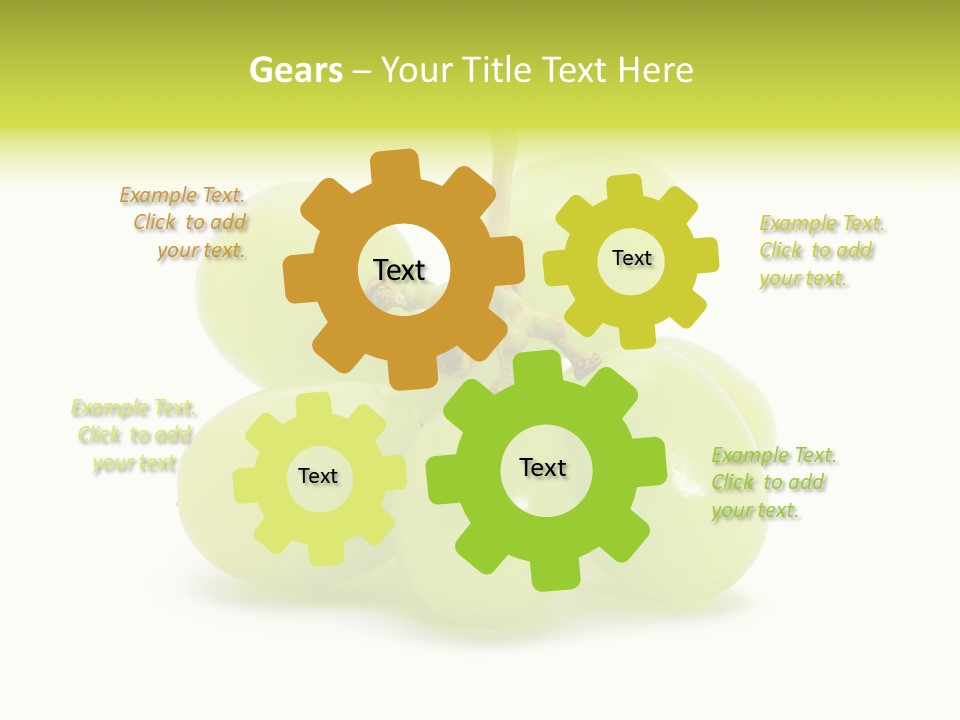 Branch Grape Ingredient PowerPoint Template