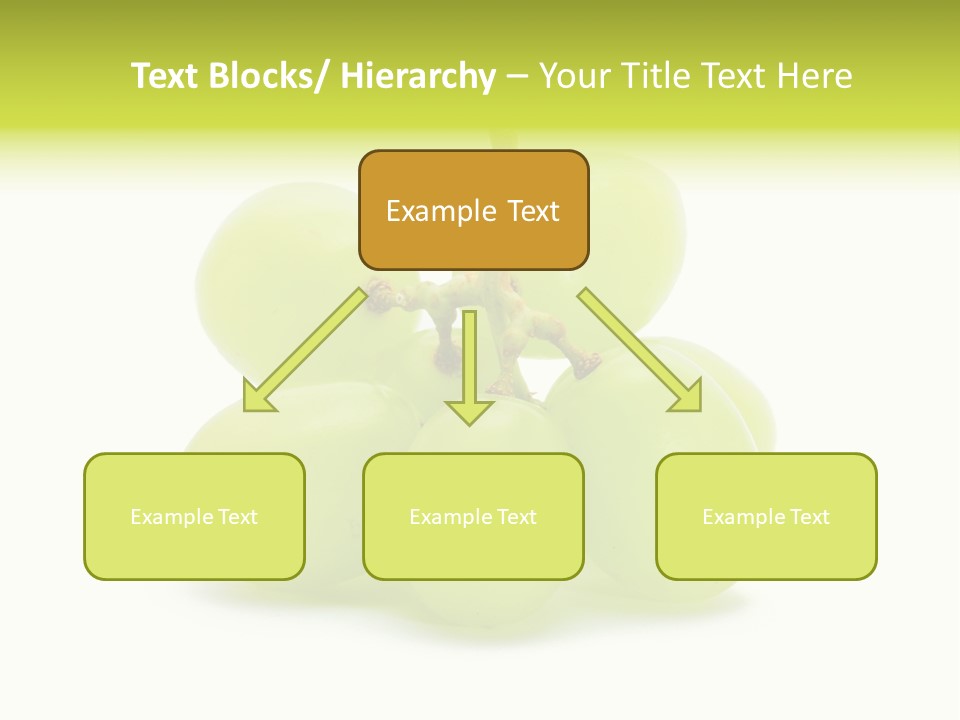 Branch Grape Ingredient PowerPoint Template