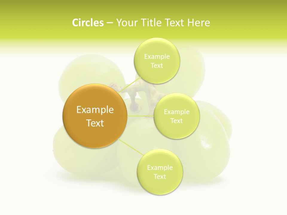 Branch Grape Ingredient PowerPoint Template