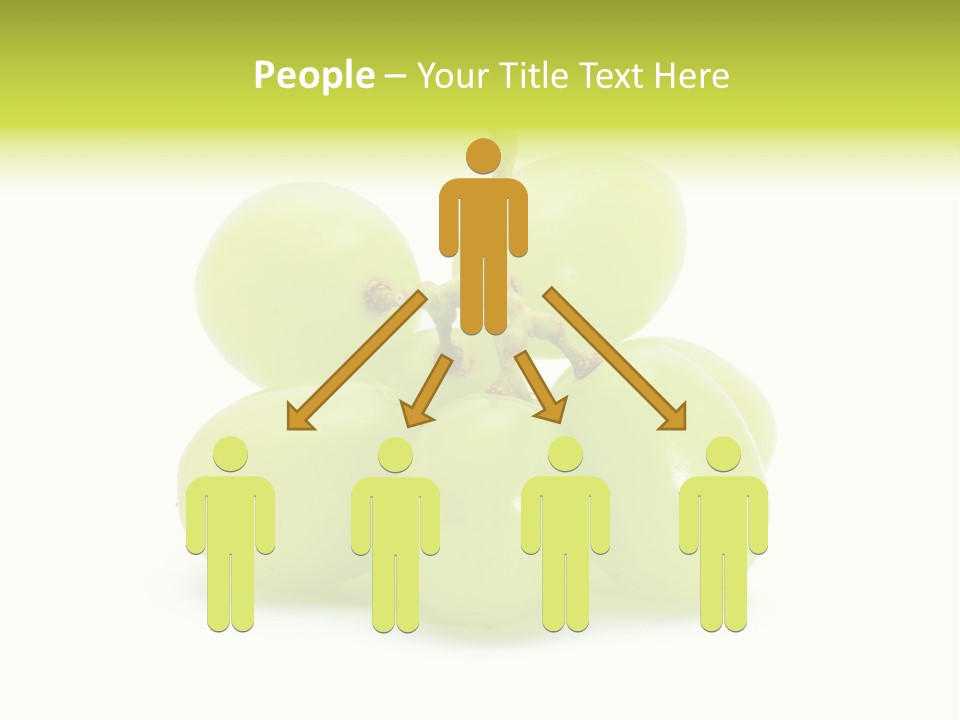 Branch Grape Ingredient PowerPoint Template