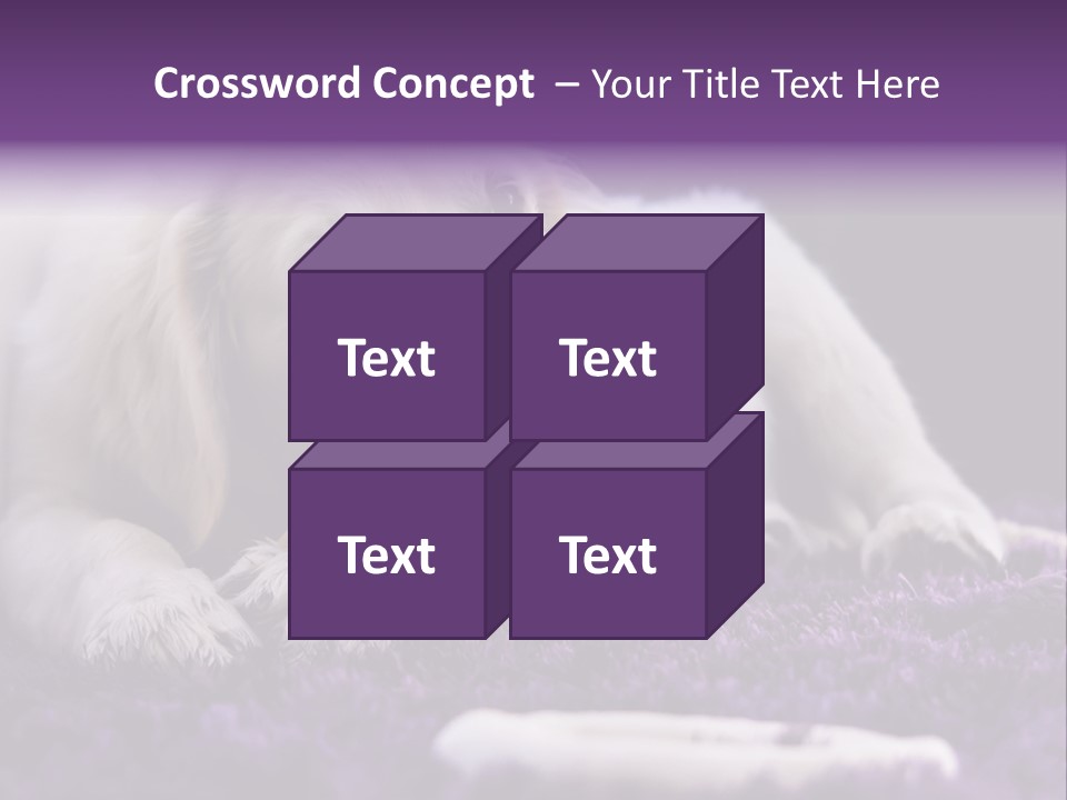 A White Dog Laying On A Purple Rug With A Toothbrush In Its Mouth PowerPoint Template