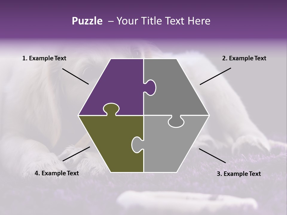 A White Dog Laying On A Purple Rug With A Toothbrush In Its Mouth PowerPoint Template