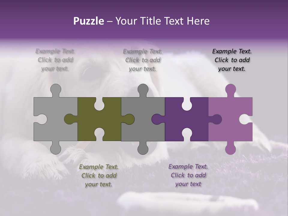 A White Dog Laying On A Purple Rug With A Toothbrush In Its Mouth PowerPoint Template