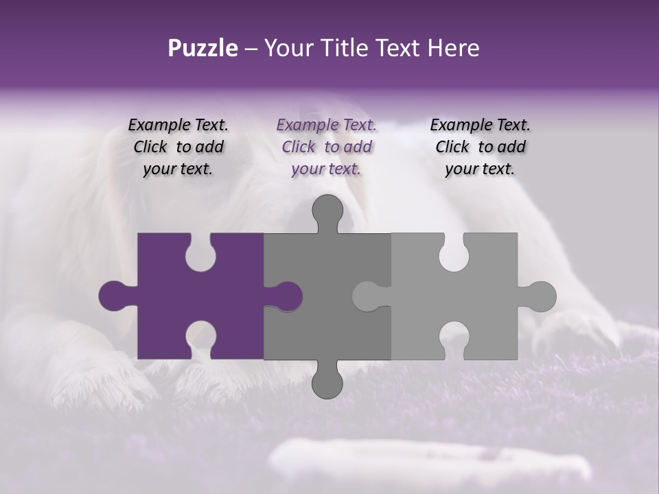 A White Dog Laying On A Purple Rug With A Toothbrush In Its Mouth PowerPoint Template