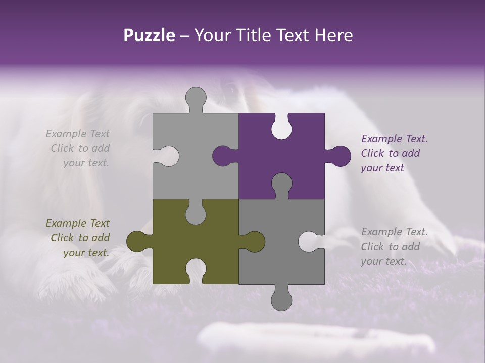 A White Dog Laying On A Purple Rug With A Toothbrush In Its Mouth PowerPoint Template