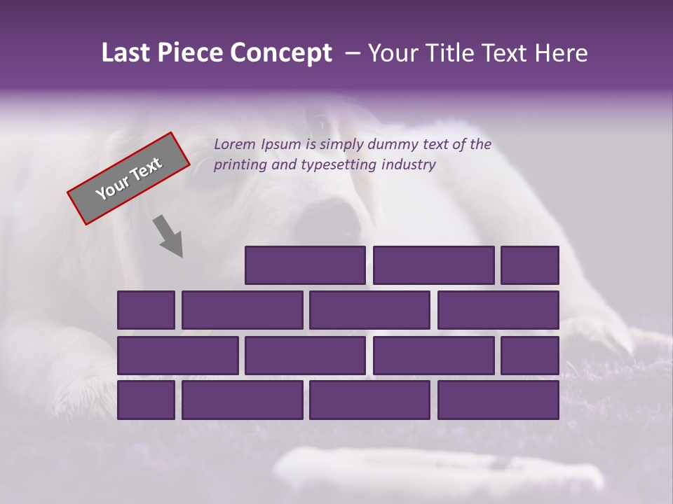A White Dog Laying On A Purple Rug With A Toothbrush In Its Mouth PowerPoint Template