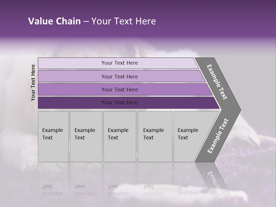 A White Dog Laying On A Purple Rug With A Toothbrush In Its Mouth PowerPoint Template
