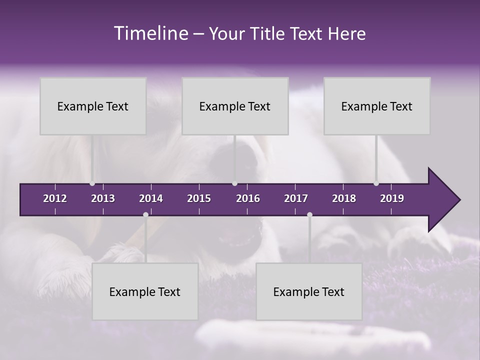 A White Dog Laying On A Purple Rug With A Toothbrush In Its Mouth PowerPoint Template