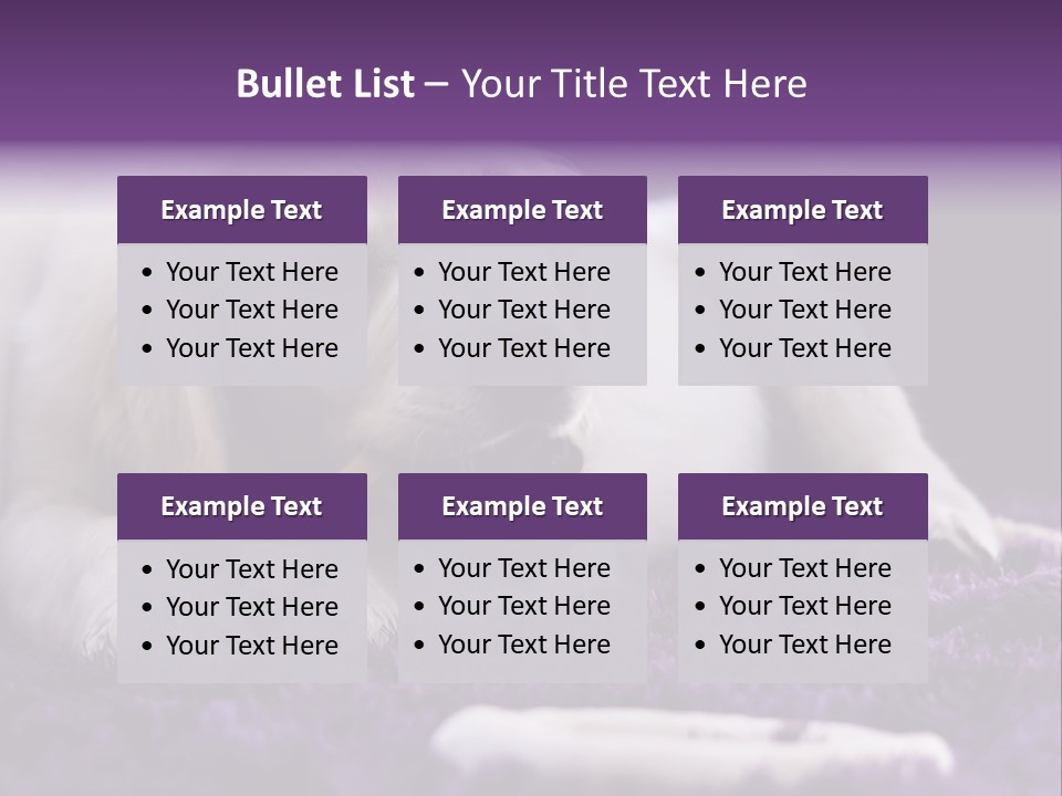 A White Dog Laying On A Purple Rug With A Toothbrush In Its Mouth PowerPoint Template