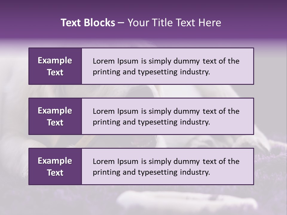 A White Dog Laying On A Purple Rug With A Toothbrush In Its Mouth PowerPoint Template