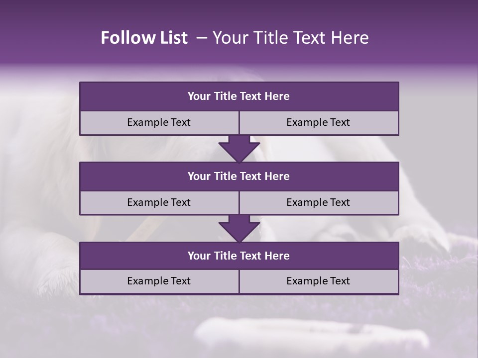 A White Dog Laying On A Purple Rug With A Toothbrush In Its Mouth PowerPoint Template