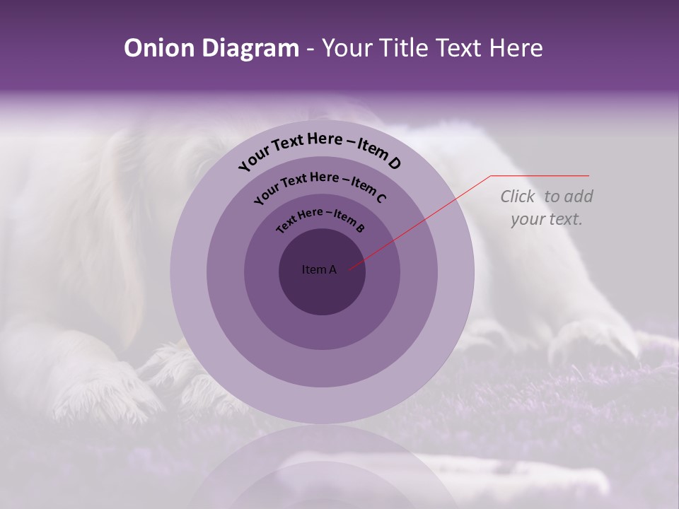 A White Dog Laying On A Purple Rug With A Toothbrush In Its Mouth PowerPoint Template