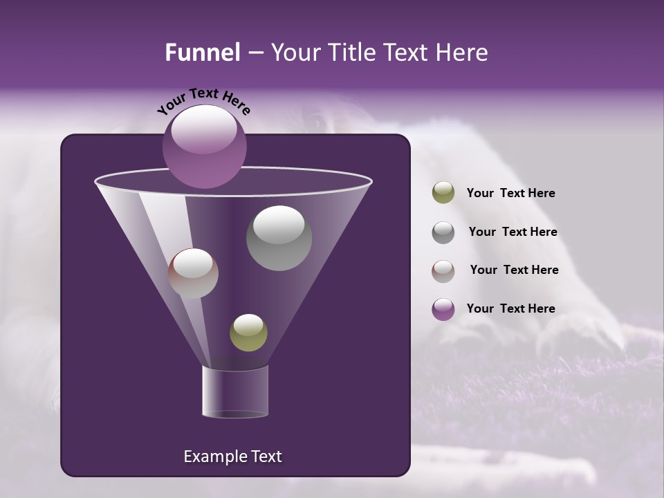 A White Dog Laying On A Purple Rug With A Toothbrush In Its Mouth PowerPoint Template