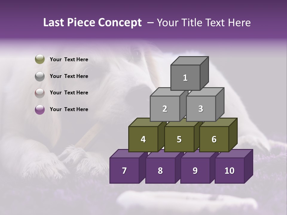 A White Dog Laying On A Purple Rug With A Toothbrush In Its Mouth PowerPoint Template