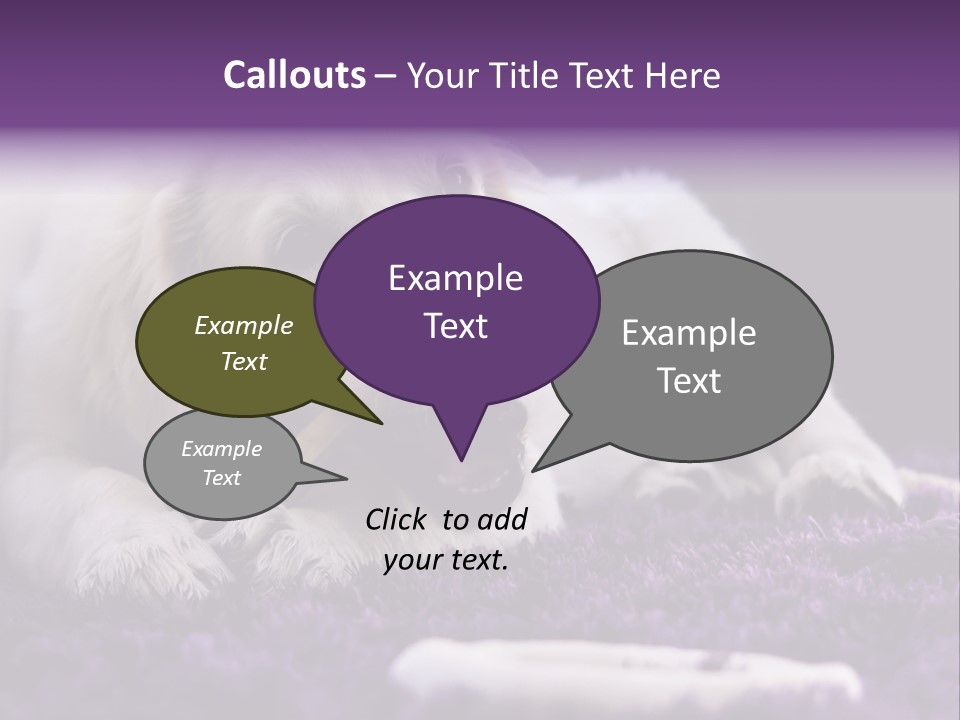 A White Dog Laying On A Purple Rug With A Toothbrush In Its Mouth PowerPoint Template