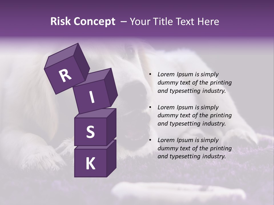 A White Dog Laying On A Purple Rug With A Toothbrush In Its Mouth PowerPoint Template