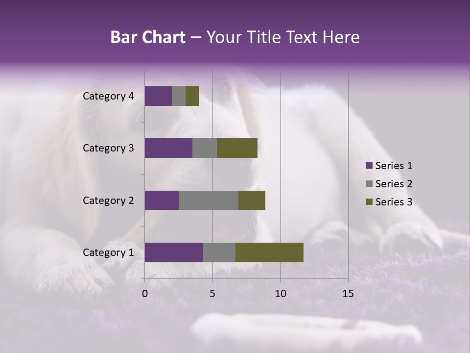 A White Dog Laying On A Purple Rug With A Toothbrush In Its Mouth PowerPoint Template