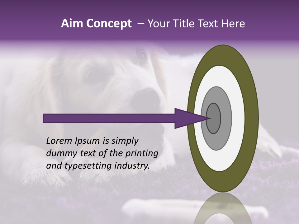 A White Dog Laying On A Purple Rug With A Toothbrush In Its Mouth PowerPoint Template