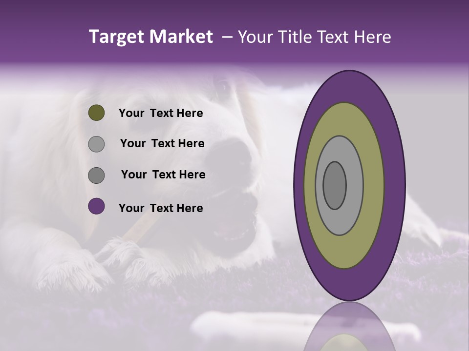 A White Dog Laying On A Purple Rug With A Toothbrush In Its Mouth PowerPoint Template