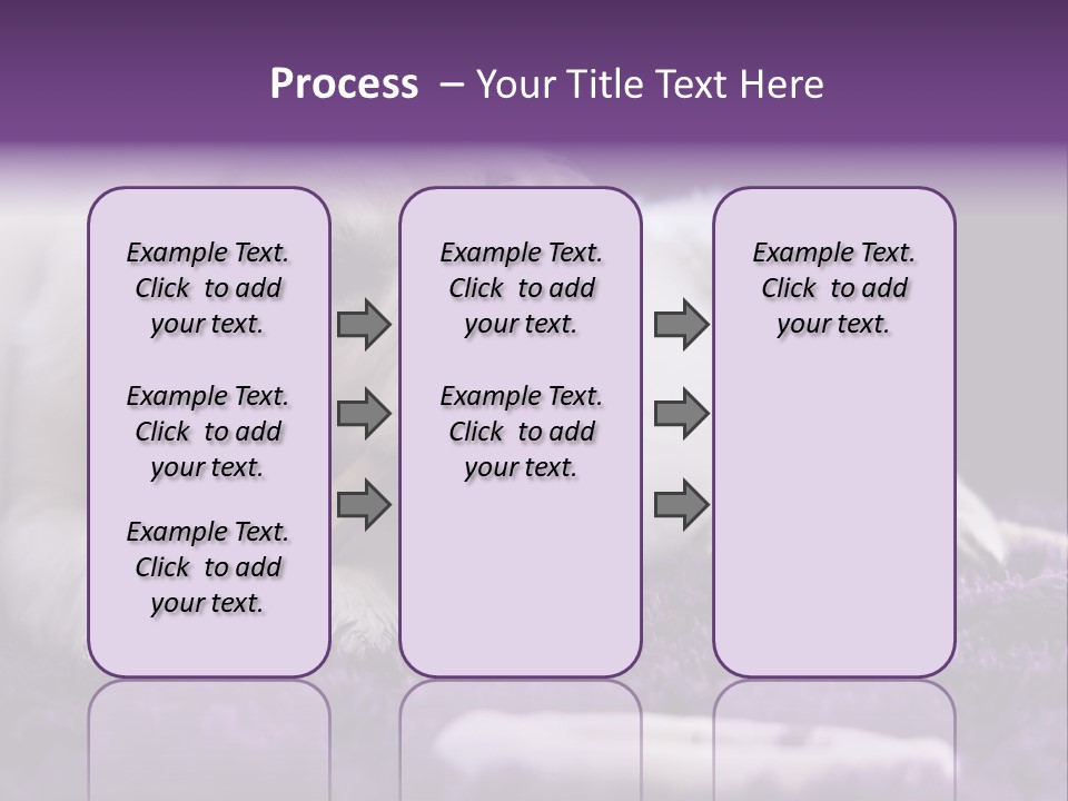 A White Dog Laying On A Purple Rug With A Toothbrush In Its Mouth PowerPoint Template