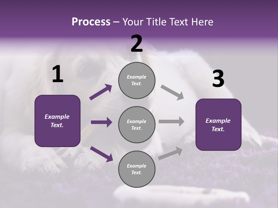 A White Dog Laying On A Purple Rug With A Toothbrush In Its Mouth PowerPoint Template