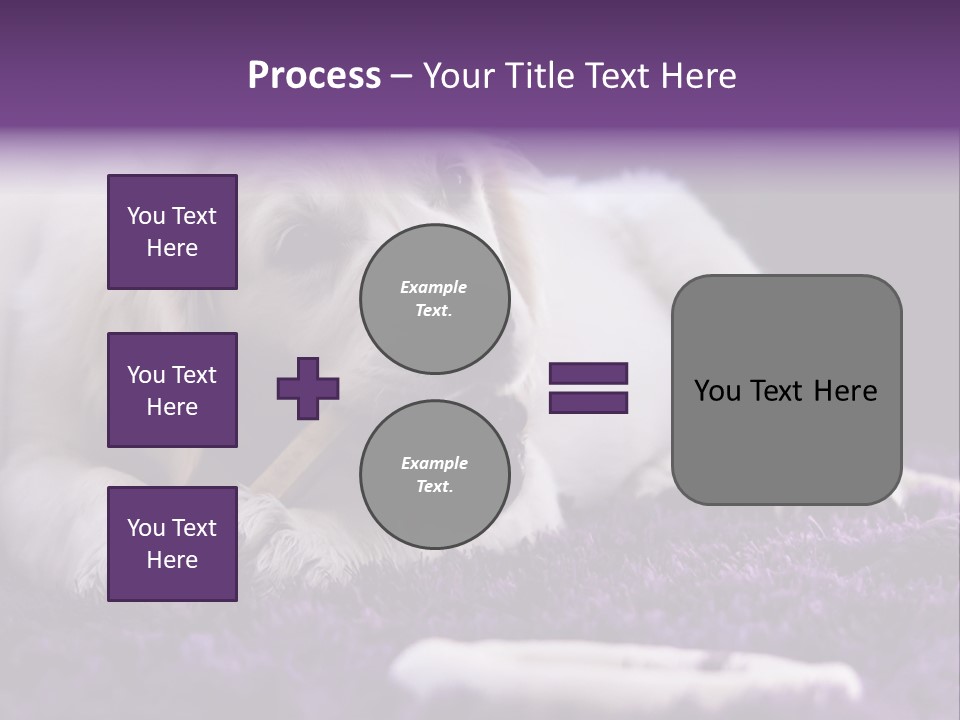 A White Dog Laying On A Purple Rug With A Toothbrush In Its Mouth PowerPoint Template